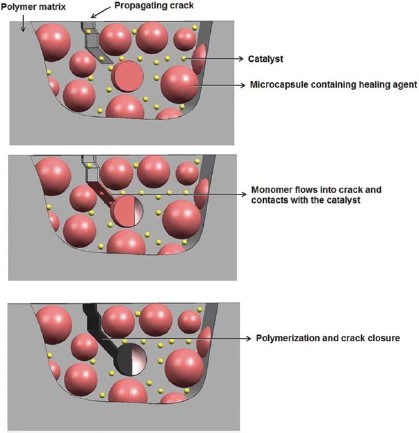 Recubrimientos Basados en Nanopartículas para Aplicaciones Offshore 11 Actuación de los recubrimientos autorreparables