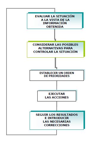 Organigrama de Acciones y Decisiones Generales.SOPEP