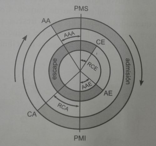 Diagrama de distribución práctico