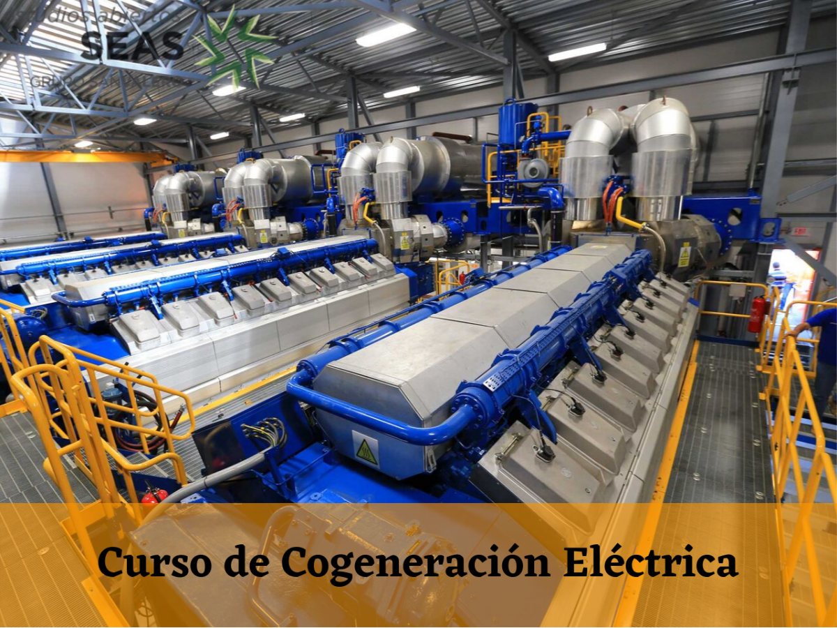 Curso de Cogeneración Eléctrica