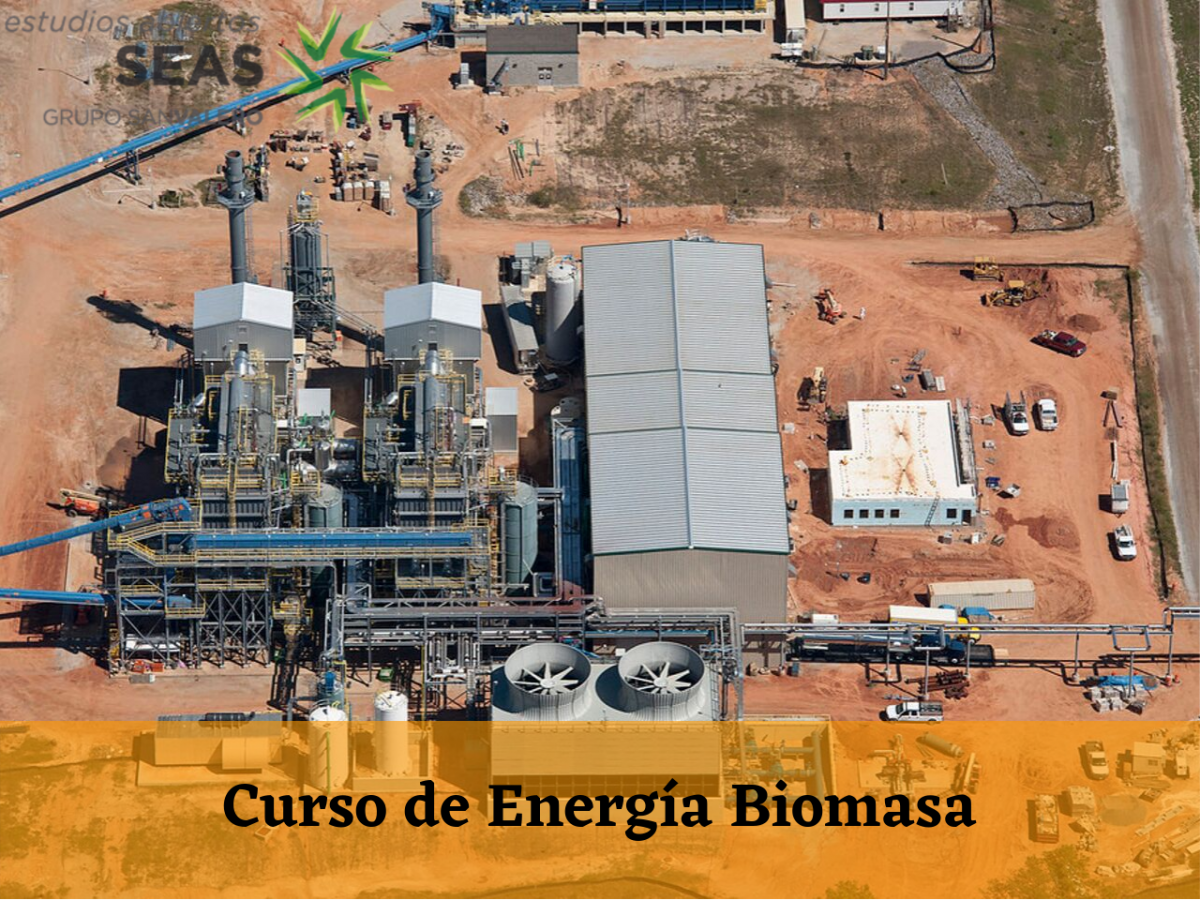 Curso de Energía Biomasa