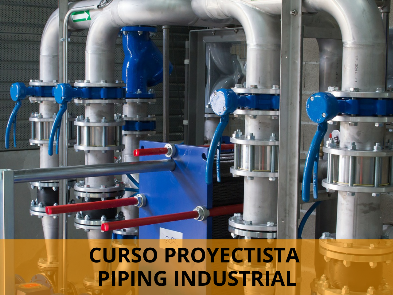 Curso Proyectista Piping Industrial