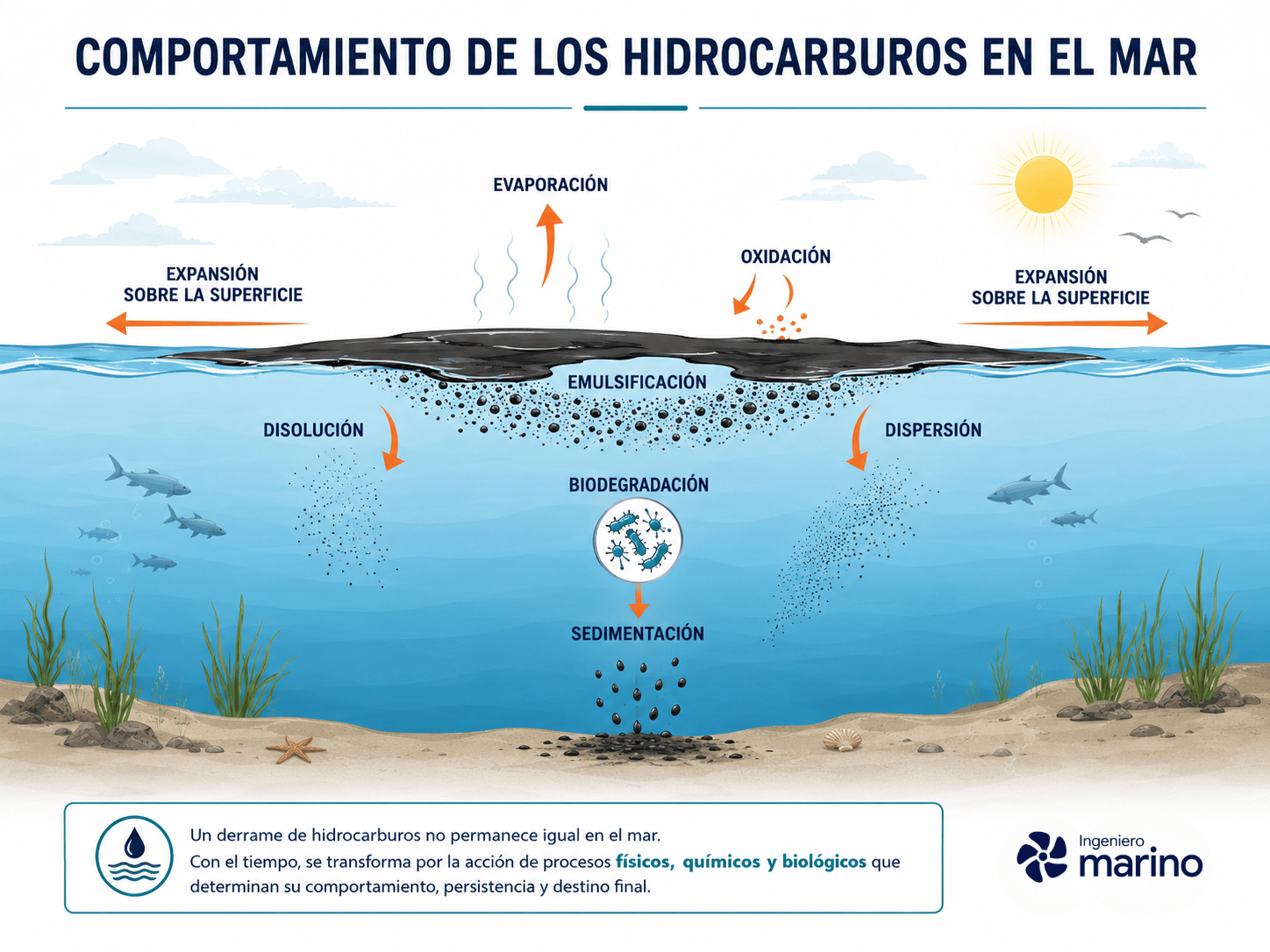 Teoría de los Hidrocarburos: Propiedades, Clasificación y Comportamiento en el Mar 19 Infografía sobre el comportamiento de los hidrocarburos en el mar tras un derrame, mostrando expansión superficial, evaporación, oxidación, emulsificación, dispersión, disolución, biodegradación y sedimentación