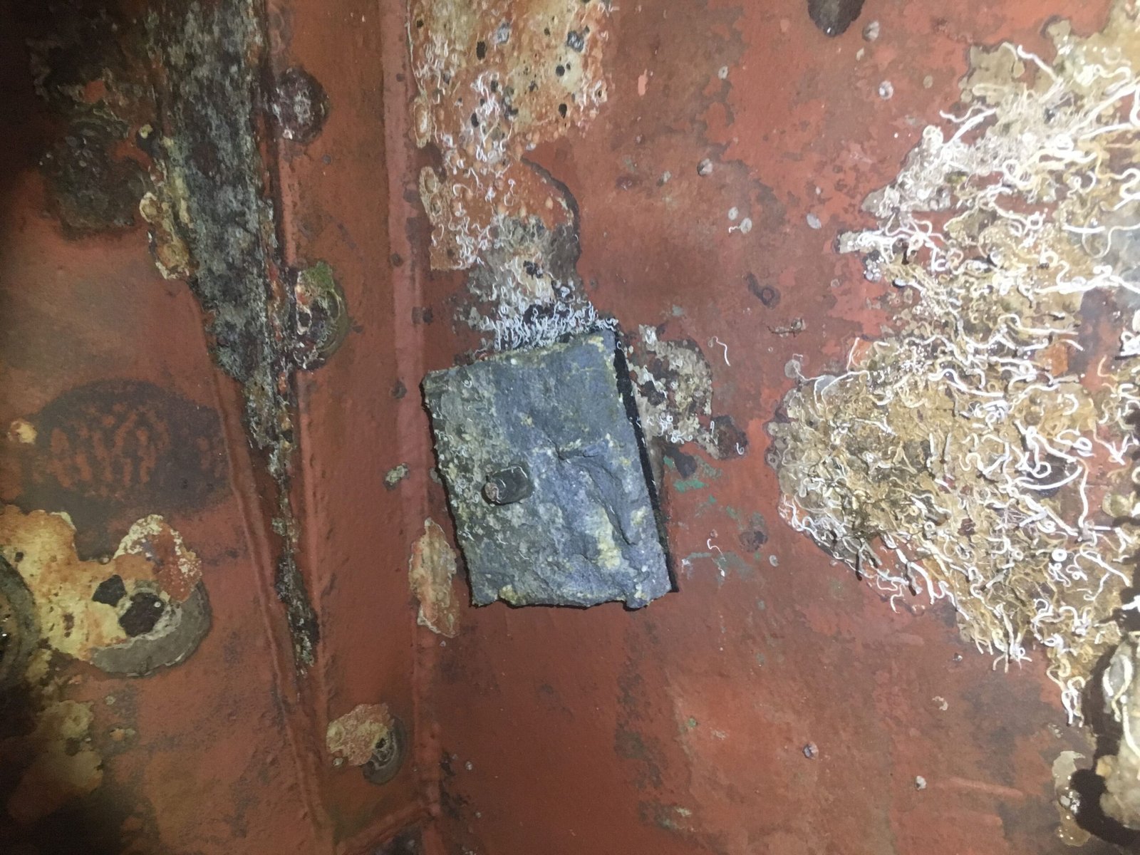 Corrosión en Tomas de Mar en Buques: Causas, Prevención e Inspección 18 Incrustaciones alrededor de un componente instalado en el interior de una toma de mar