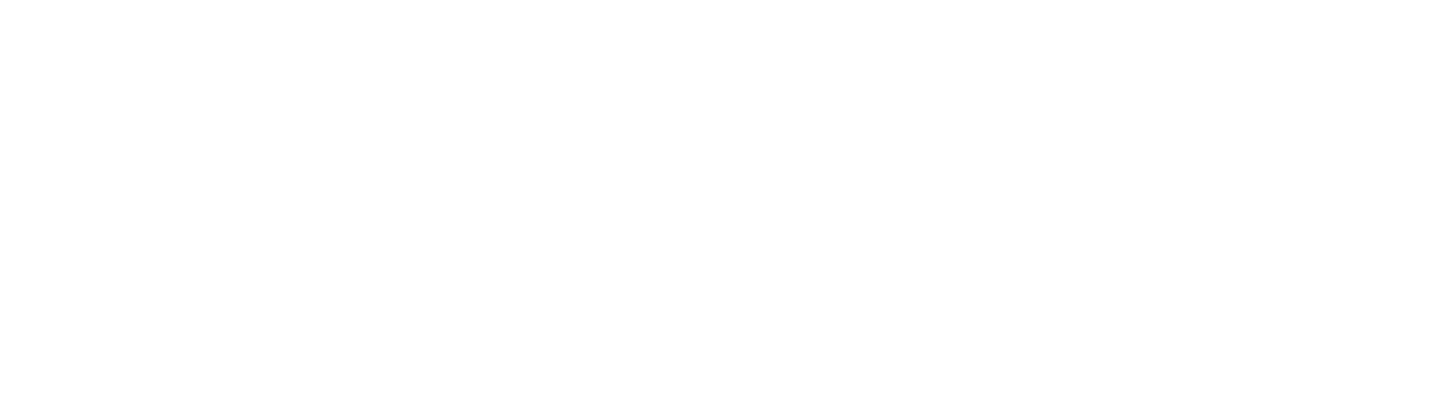 Ingeniero Marino Logo